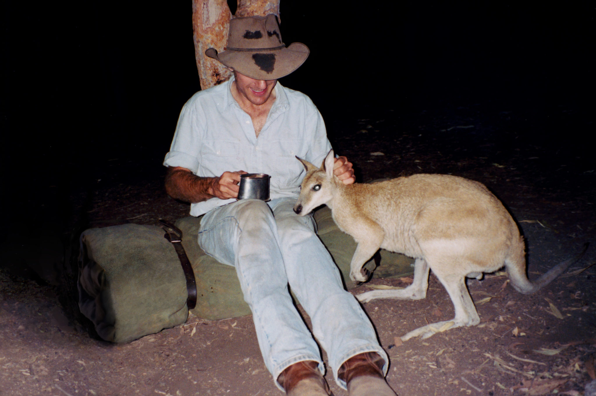 Drinks with Kangaroo, Lawn Hill, QLD, 2003